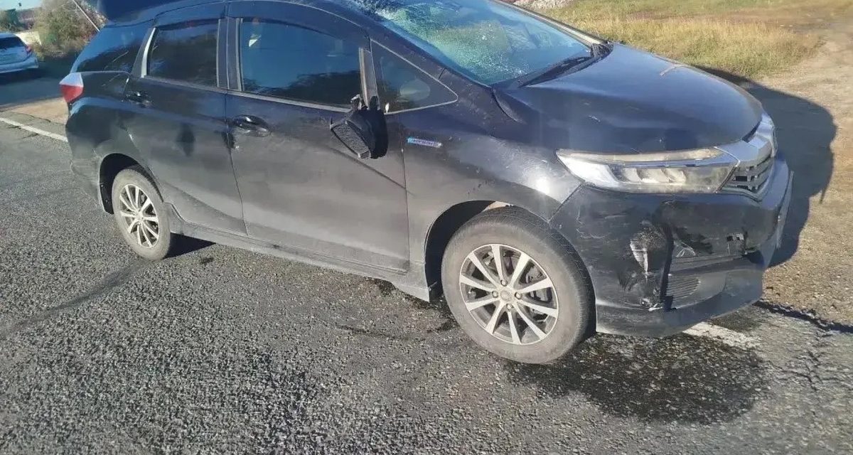 В Приморье 75-летний велосипедист погиб после наезда Honda Shuttle при повороте без сигнала
